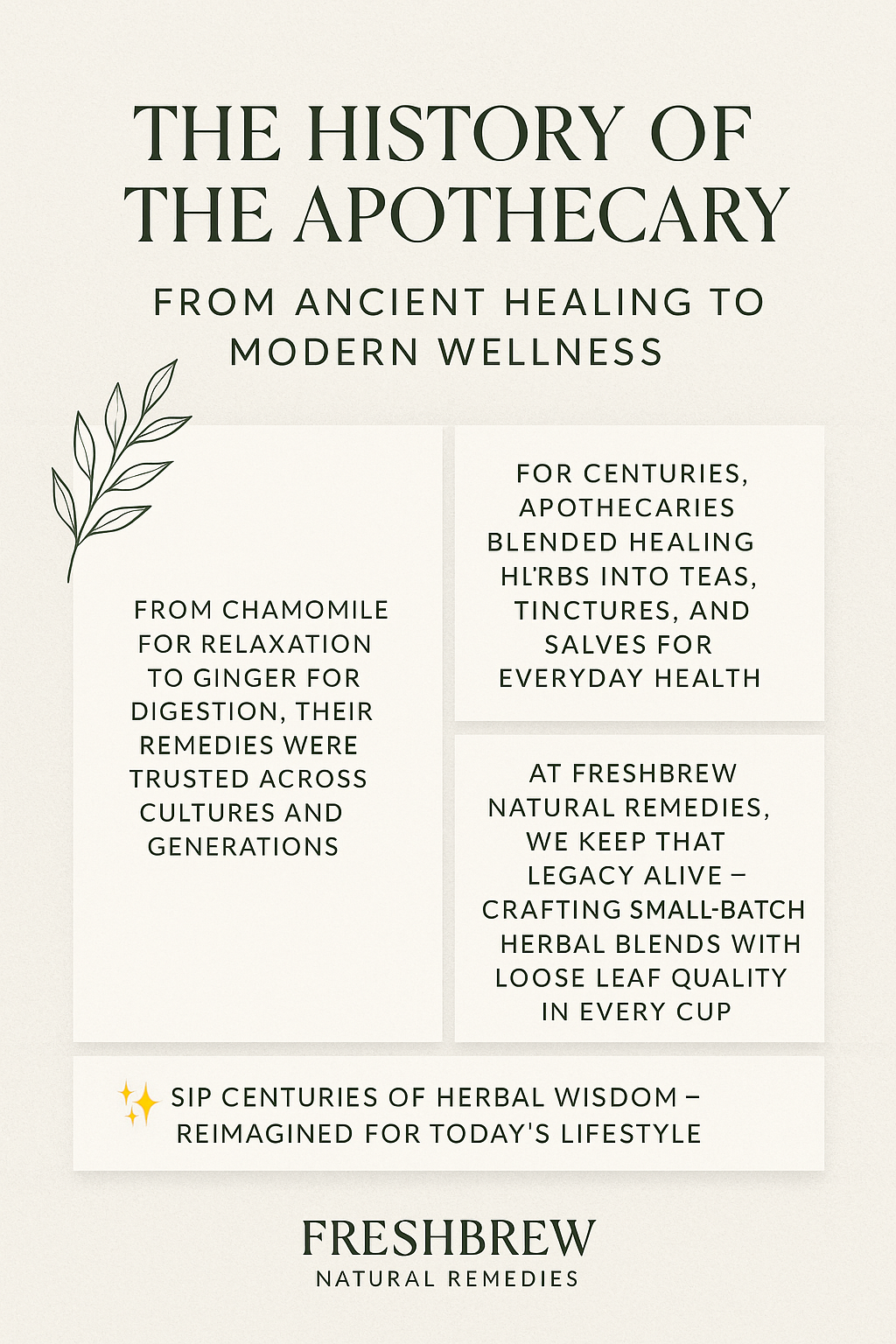 The History of the Apothecary: From Ancient Healing to Modern Wellness