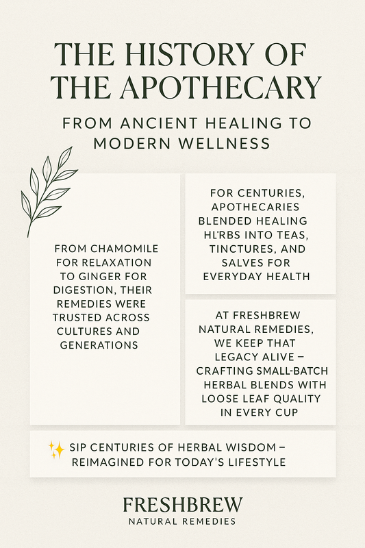 The History of the Apothecary: From Ancient Healing to Modern Wellness