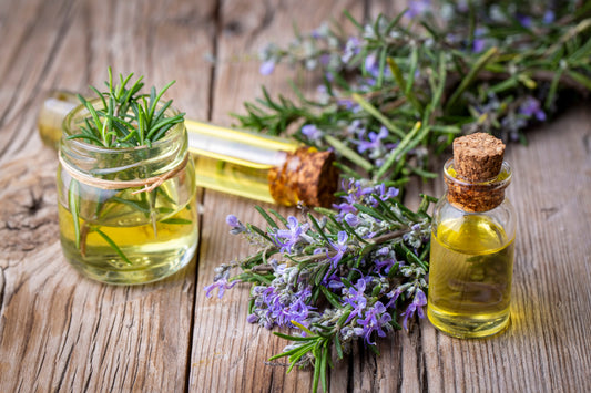 Embrace the Power of Herbal Oils: Transforming Modern Wellness Routines
